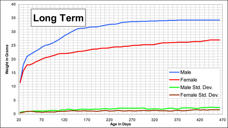 Mouse Growth Chart