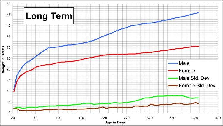 Long term growth char for C57BL/6