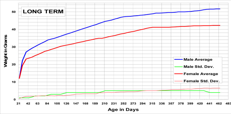 Long term growth chart for the Swiss Mouse